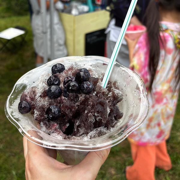 【千葉】湧き水＆ブルーベリー農園でBBQ！「いっせんぼく Camp field」が子連れデイキャンプに最高すぎる！ | HugMug