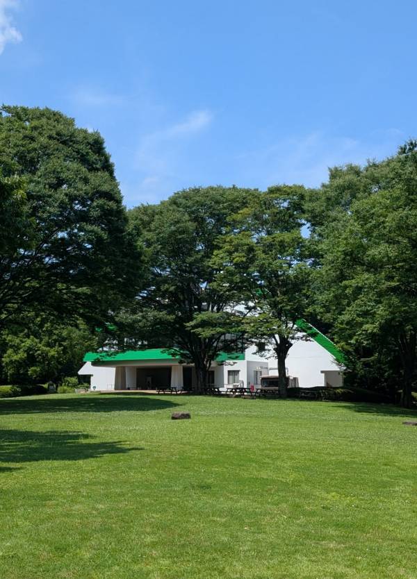 【埼玉・森林公園】じゃぶじゃぶ池×50種の遊具で外遊びDAY！ | HugMug