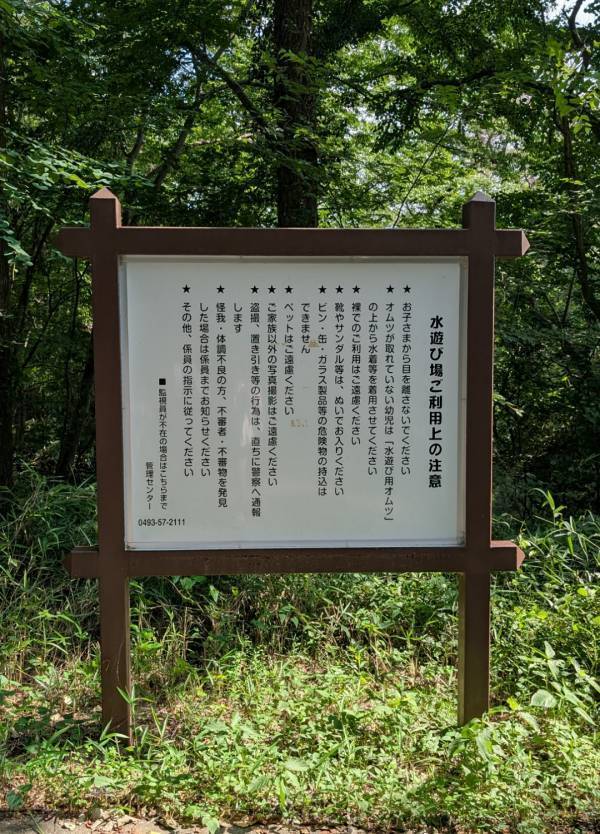 【埼玉・森林公園】じゃぶじゃぶ池×50種の遊具で外遊びDAY！ | HugMug