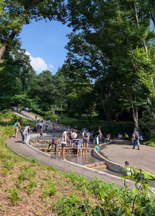【埼玉・森林公園】じゃぶじゃぶ池×50種の遊具で外遊びDAY！ | HugMug
