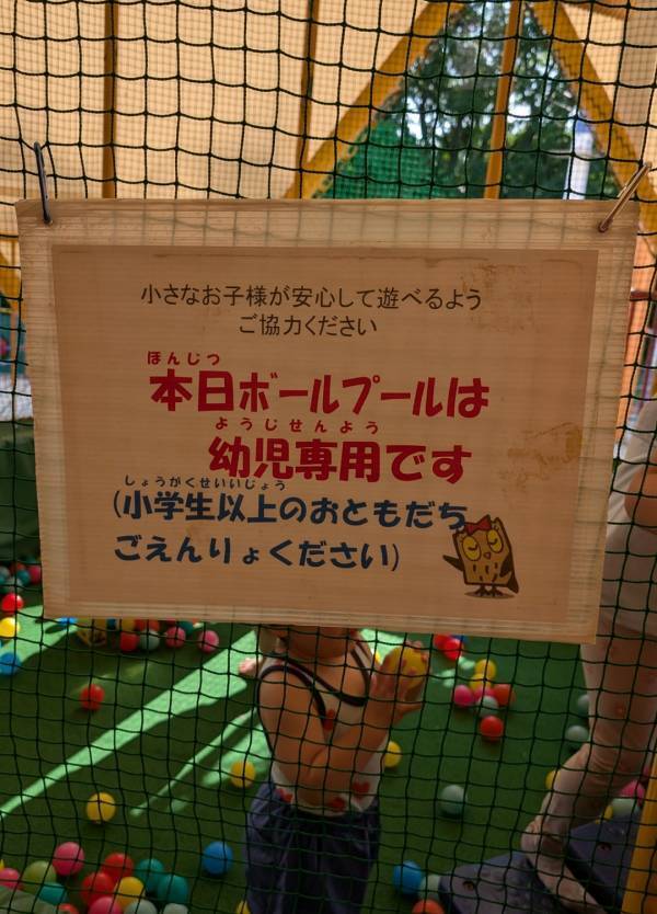 【埼玉・森林公園】じゃぶじゃぶ池×50種の遊具で外遊びDAY！ | HugMug