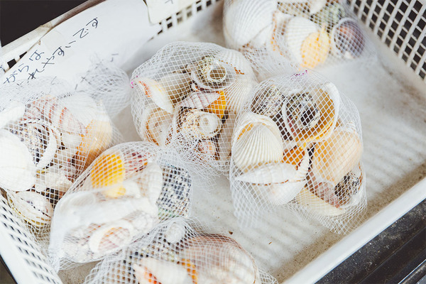 プチ旅におすすめ！親子で行く電車さんぽ【江ノ電編】 | HugMug