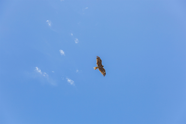 プチ旅におすすめ！親子で行く電車さんぽ【江ノ電編】 | HugMug