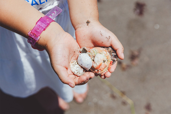 プチ旅におすすめ！親子で行く電車さんぽ【江ノ電編】 | HugMug