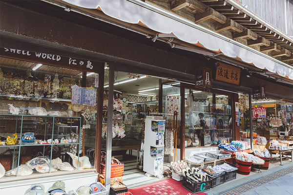 プチ旅におすすめ！親子で行く電車さんぽ【江ノ電編】 | HugMug