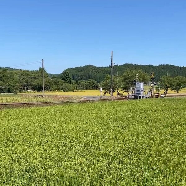 子連れ海デビューの方必見！荷物も疲れも軽減する海の家活用術をご紹介 | HugMug