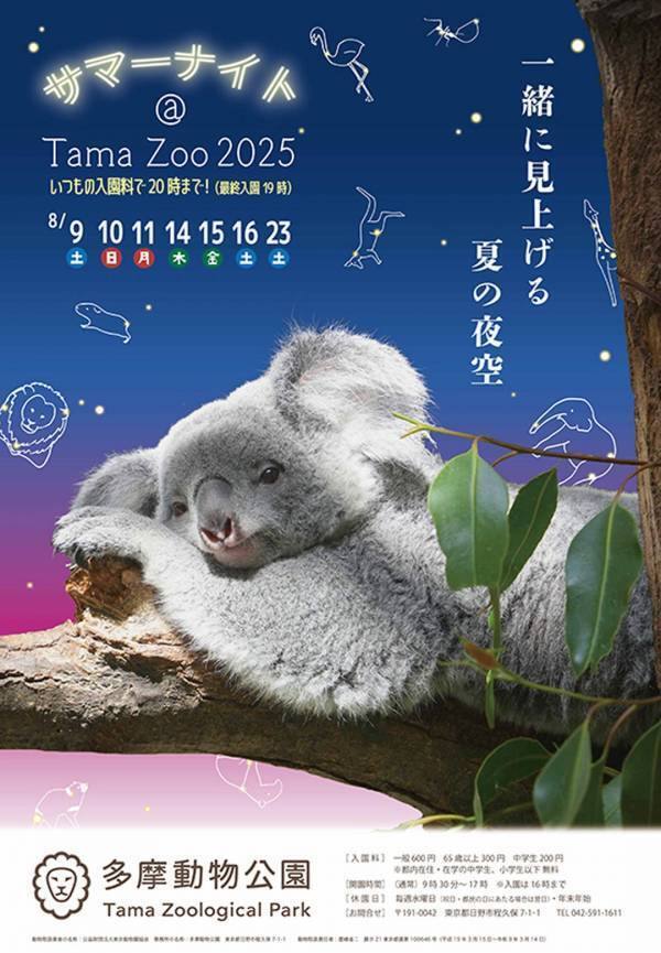 8月に行きたい遊び場＆イベント13選【関東】 | HugMug