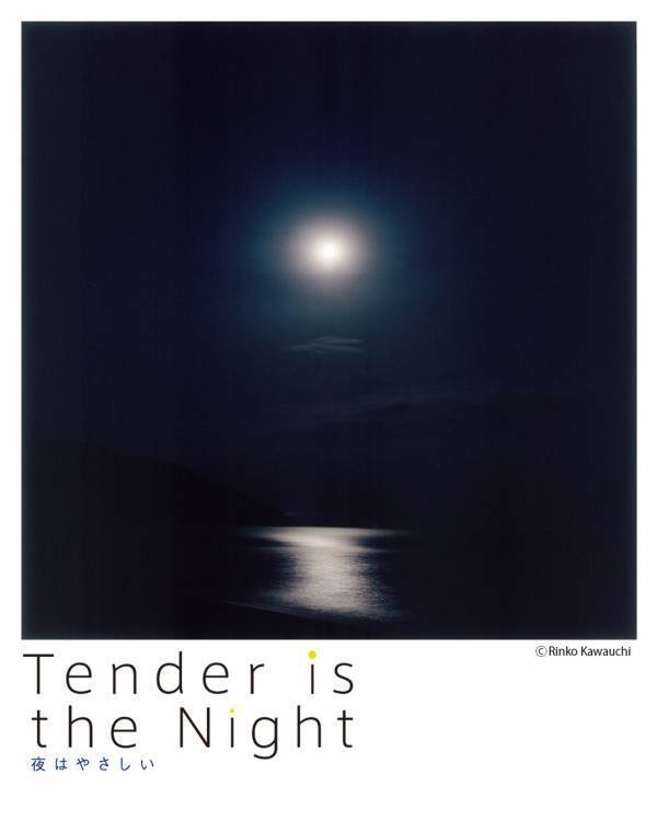 8月に行きたい遊び場＆イベント13選【関東】 | HugMug