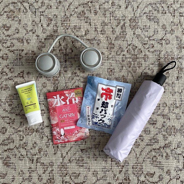 真夏の子連れ【TDS】攻略法！終了間近BBB・新ショー体験レポ&amp;暑さ対策グッズ紹介 | HugMug