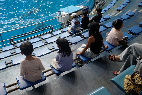 「東京＆山梨、家族で過ごす夏休み」武智志穂の沖縄でのんびり双子育児 Vol.60 | HugMug