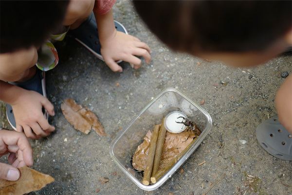 「東京＆山梨、家族で過ごす夏休み」武智志穂の沖縄でのんびり双子育児 Vol.60 | HugMug