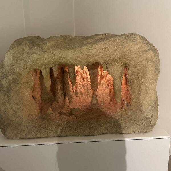 【入場無料】化石や剥製に触れる博物館！栃木の穴場スポット「葛生化石館」 | HugMug