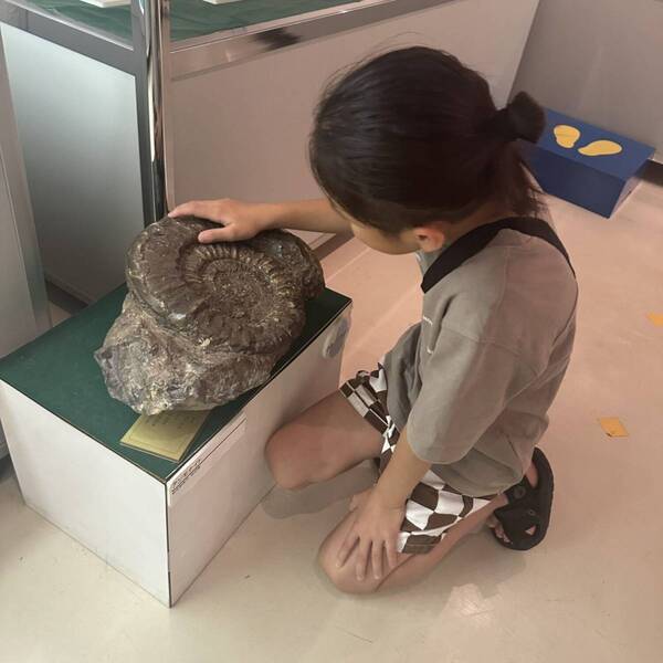 【入場無料】化石や剥製に触れる博物館！栃木の穴場スポット「葛生化石館」 | HugMug