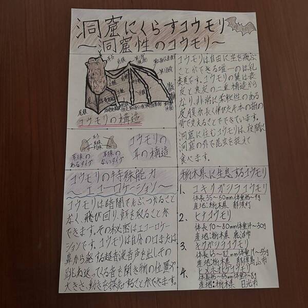 【入場無料】化石や剥製に触れる博物館！栃木の穴場スポット「葛生化石館」 | HugMug