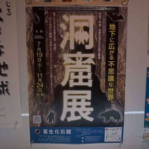 【入場無料】化石や剥製に触れる博物館！栃木の穴場スポット「葛生化石館」 | HugMug
