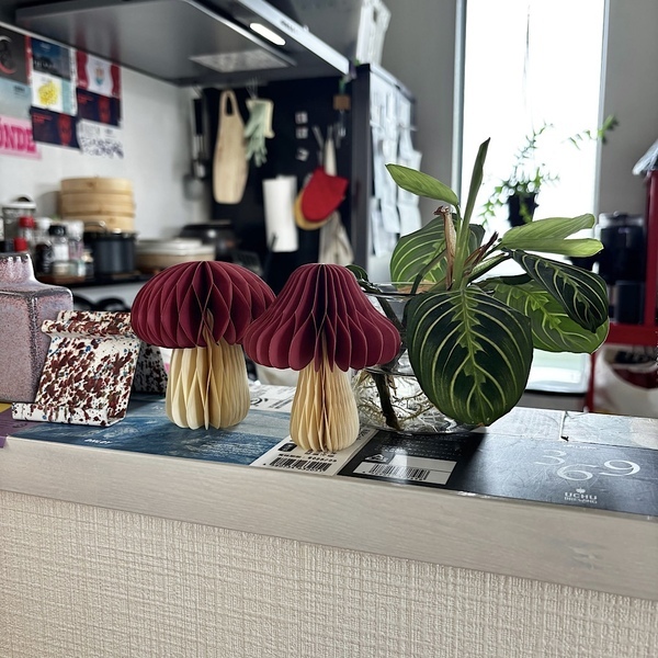 【フライングタイガー】今年のハロウィングッズを一足先にご紹介！ | HugMug