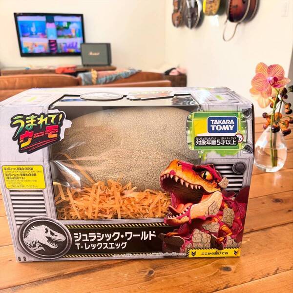 恐竜好き必見【誕生日】Amazonで揃う飾りつけ＆オーダーケーキでお祝い | HugMug