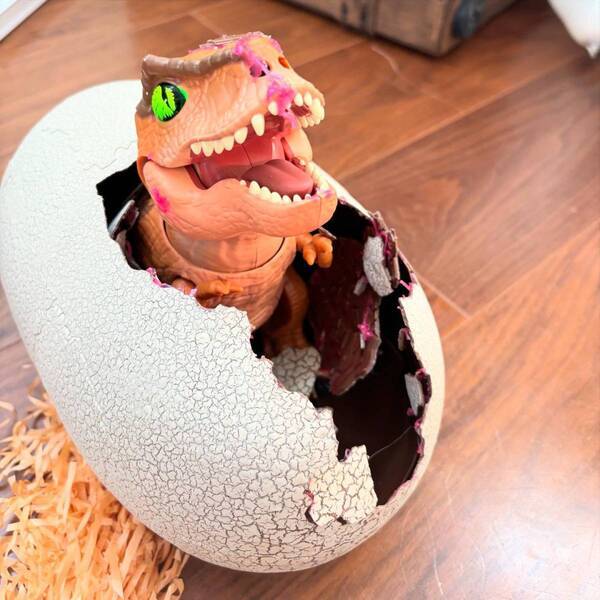 恐竜好き必見【誕生日】Amazonで揃う飾りつけ＆オーダーケーキでお祝い | HugMug