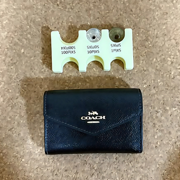 10月6日は一粒万倍日＋天赦日！【センスのいいママが愛用するお財布SNAP6選】 | HugMug