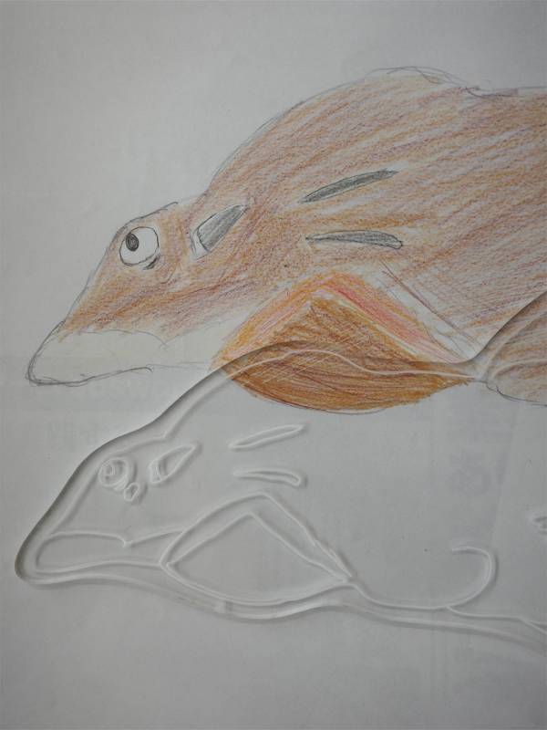 「新たな挑戦で子どもが得たこと」平野みかほの『子どもと、私と、らしさと』Vol.8 | HugMug