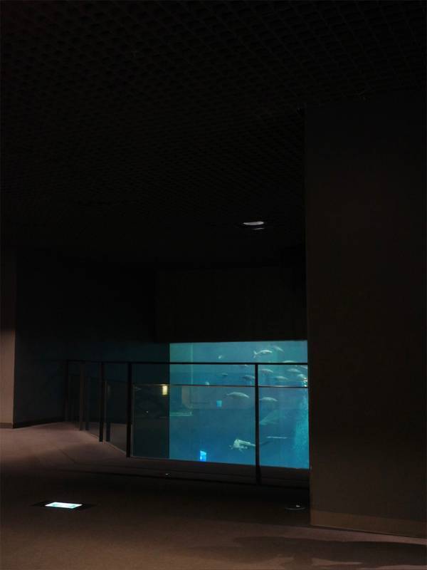 「新たな挑戦で子どもが得たこと」平野みかほの『子どもと、私と、らしさと』Vol.8 | HugMug