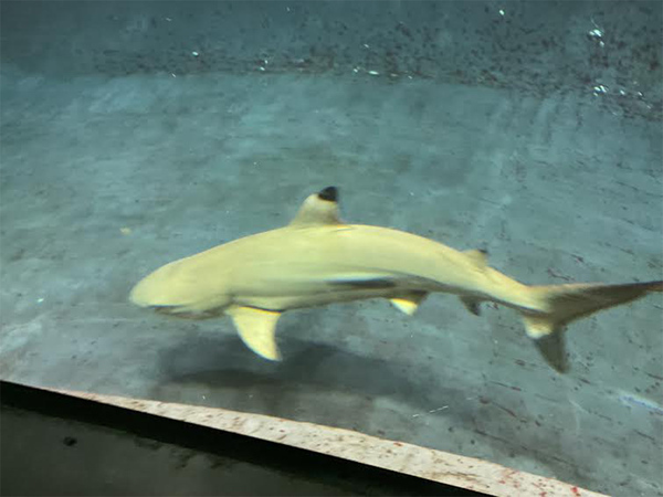 「新たな挑戦で子どもが得たこと」平野みかほの『子どもと、私と、らしさと』Vol.8 | HugMug