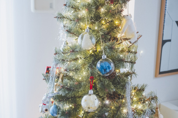 【フライングタイガーXmas】インテリアデザイナーのリアルバイ＆おうち装飾を拝見 | HugMug