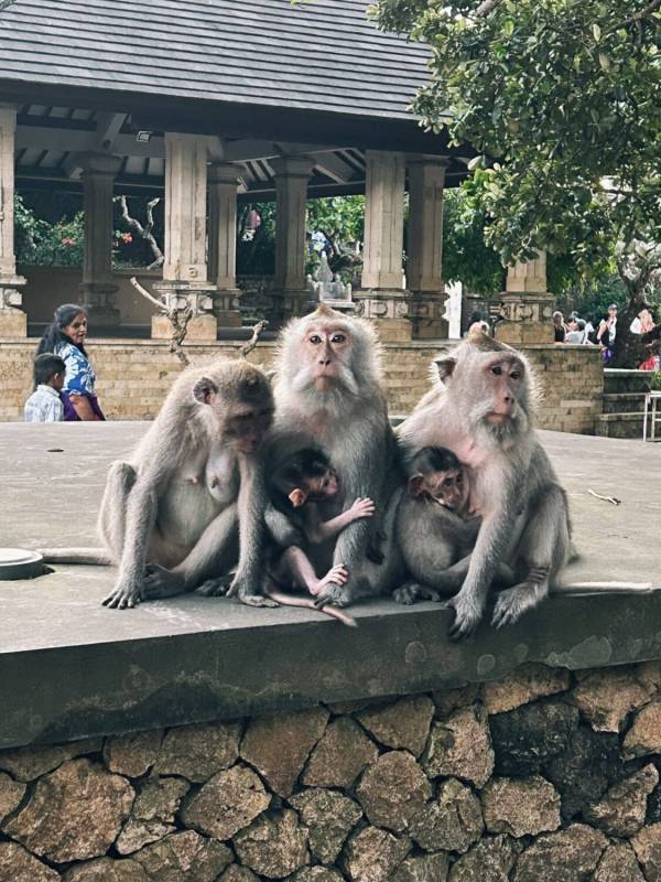 子連れ海外デビューは『バリ』一択！赤ちゃん連れでも楽しめた、最高に優しくてナイスな非日常 | HugMug