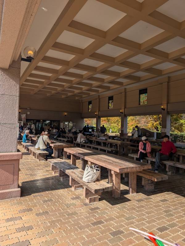 今が紅葉見頃！ぐるりん号で【秩父ミューズパーク】へ。紅葉×遊具×グルメを満喫！ | HugMug