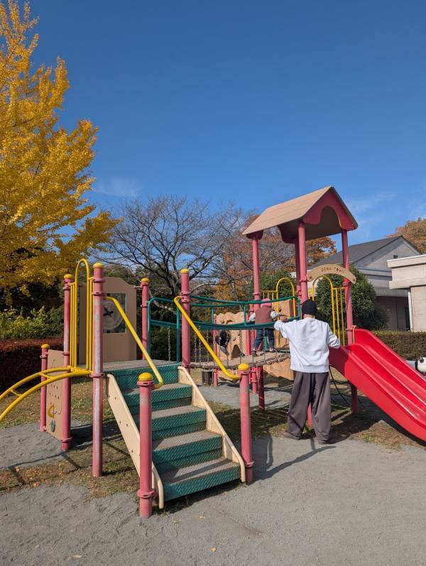 今が紅葉見頃！ぐるりん号で【秩父ミューズパーク】へ。紅葉×遊具×グルメを満喫！ | HugMug