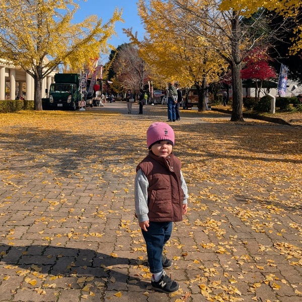 今が紅葉見頃！ぐるりん号で【秩父ミューズパーク】へ。紅葉×遊具×グルメを満喫！ | HugMug