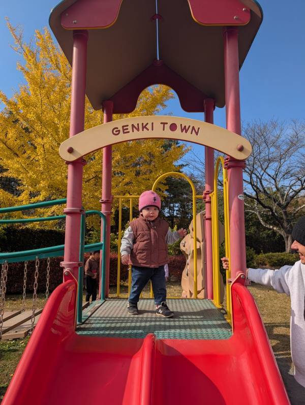 今が紅葉見頃！ぐるりん号で【秩父ミューズパーク】へ。紅葉×遊具×グルメを満喫！ | HugMug