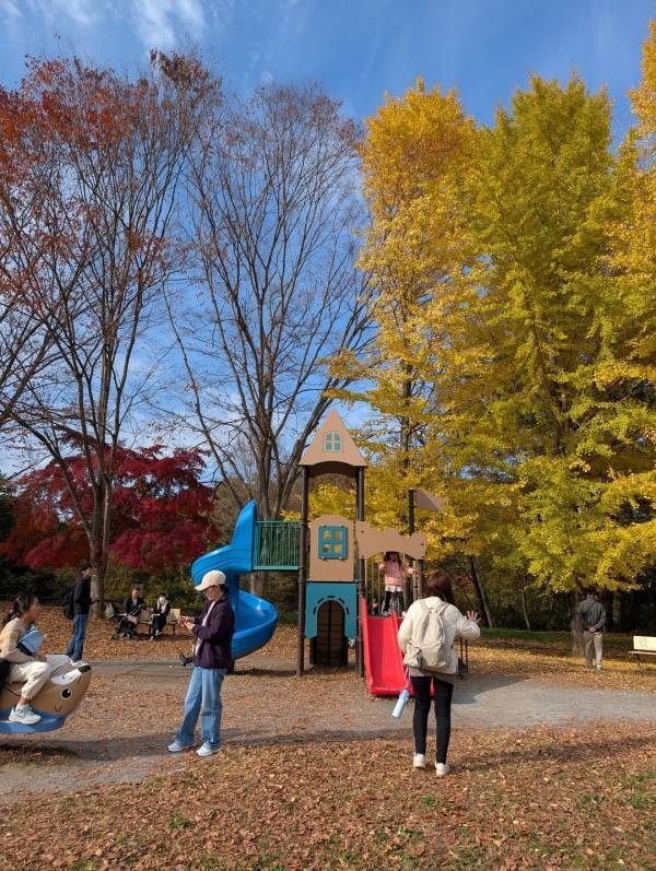 今が紅葉見頃！ぐるりん号で【秩父ミューズパーク】へ。紅葉×遊具×グルメを満喫！ | HugMug