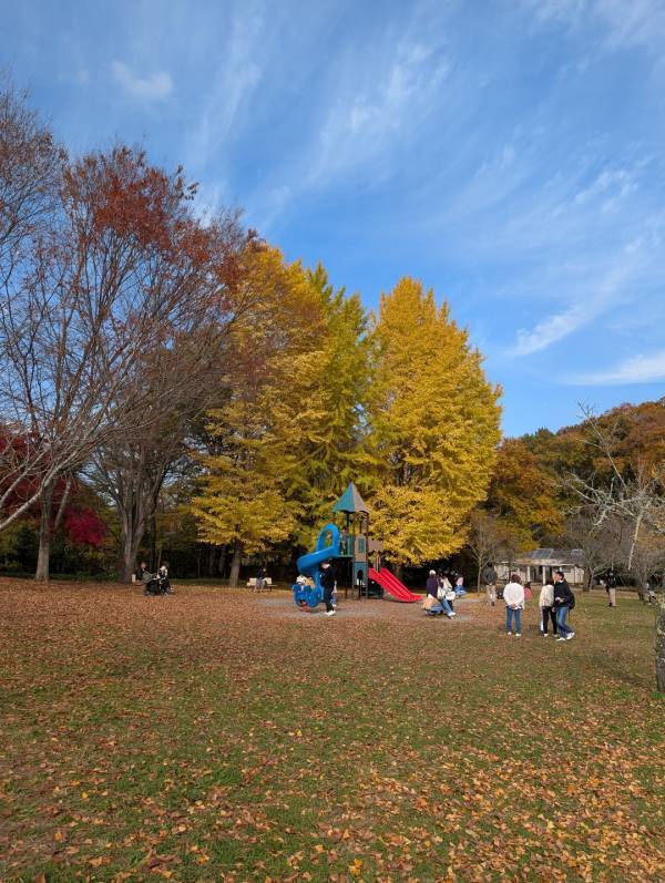 今が紅葉見頃！ぐるりん号で【秩父ミューズパーク】へ。紅葉×遊具×グルメを満喫！ | HugMug