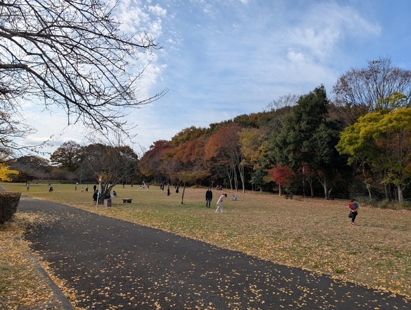 今が紅葉見頃！ぐるりん号で【秩父ミューズパーク】へ。紅葉×遊具×グルメを満喫！ | HugMug