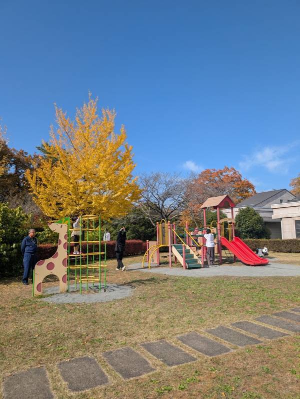 今が紅葉見頃！ぐるりん号で【秩父ミューズパーク】へ。紅葉×遊具×グルメを満喫！ | HugMug