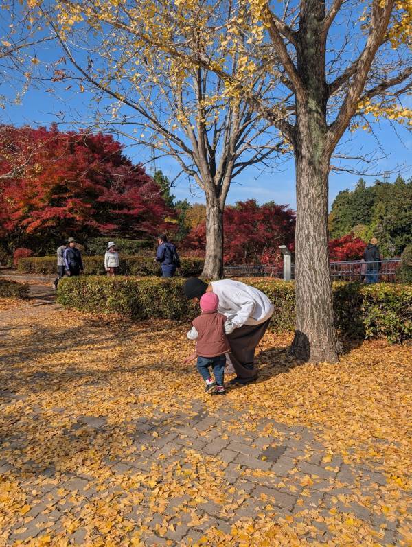今が紅葉見頃！ぐるりん号で【秩父ミューズパーク】へ。紅葉×遊具×グルメを満喫！ | HugMug