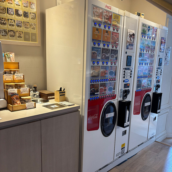 漫画読み放題・フリードリンクな猫カフェ 【mocha】猫ちゃんおやつも豊富で天国すぎる！ | HugMug