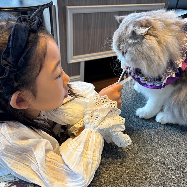 漫画読み放題・フリードリンクな猫カフェ 【mocha】猫ちゃんおやつも豊富で天国すぎる！ | HugMug