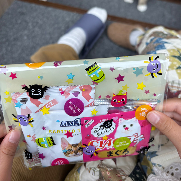 漫画読み放題・フリードリンクな猫カフェ 【mocha】猫ちゃんおやつも豊富で天国すぎる！ | HugMug