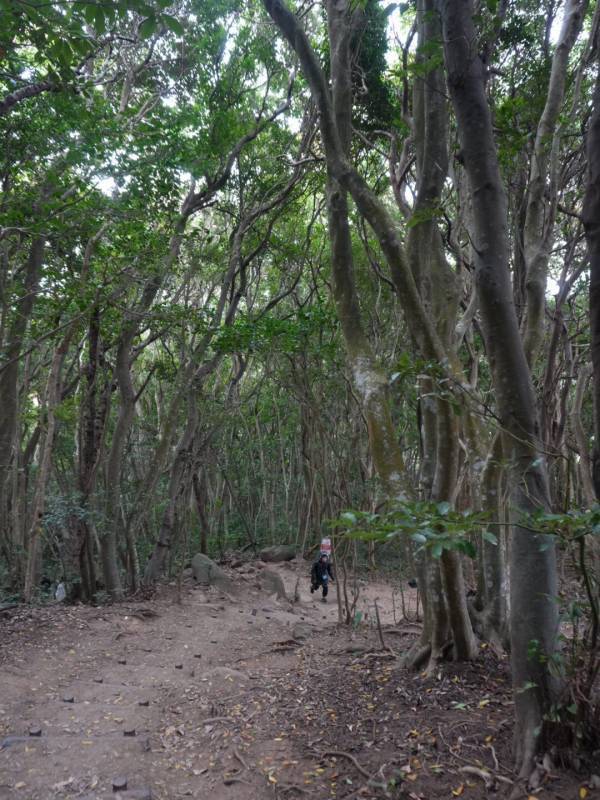 【福岡・糸島】へ子連れ旅行！ママ目線で「本当に良かった」スポットをご紹介 | HugMug