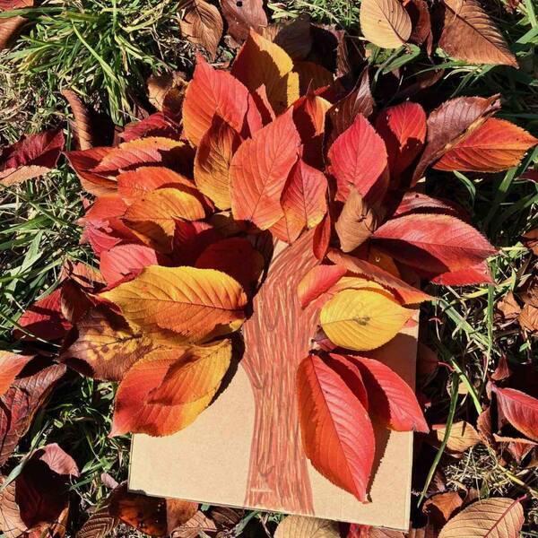 【材料3つだけ】秋を感じる紅葉の工作「葉っぱアート」を子どもとチャレンジ！ | HugMug