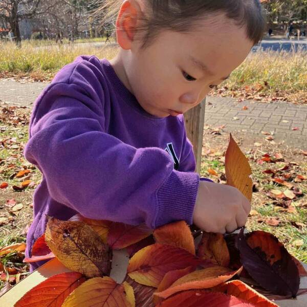 【材料3つだけ】秋を感じる紅葉の工作「葉っぱアート」を子どもとチャレンジ！ | HugMug