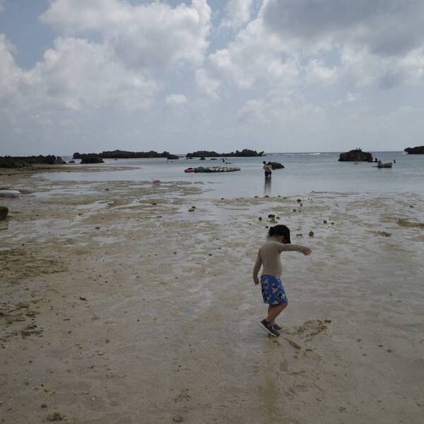 【子連れ宮古島旅行】3歳でも楽しめた！ ウミガメシュノーケリング体験＆おすすめグルメまとめ | HugMug