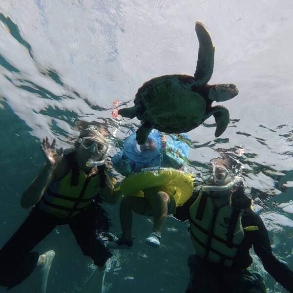 【子連れ宮古島旅行】3歳でも楽しめた！ ウミガメシュノーケリング体験＆おすすめグルメまとめ | HugMug