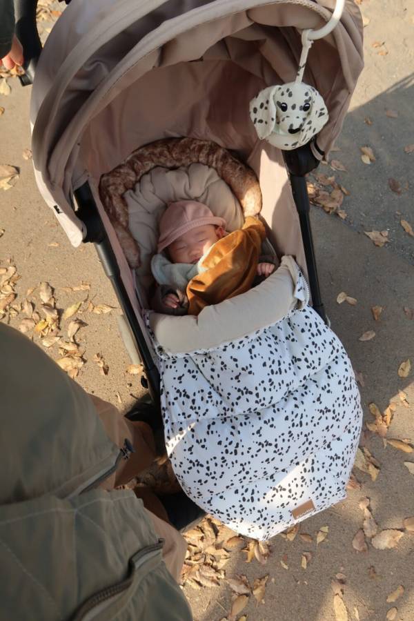 まるでSUBU!?【ワークマン】1,780円で買えちゃうあったかスリッポンが優秀すぎた | HugMug