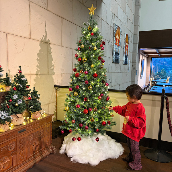 【賢いママの新常識！】ふるさと納税の返礼品で箱根旅行！子連れにおすすめスポット全部見せ | HugMug