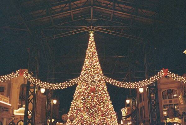 【子連れディズニー】防寒バッチリ！モコモコなりきりコーデで極寒クリスマスも快適に | HugMug