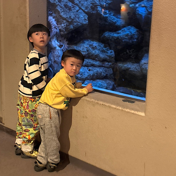 キッズ展開あったの！？【ホーキンス】のキッズスニーカーが大流行の予感！ | HugMug