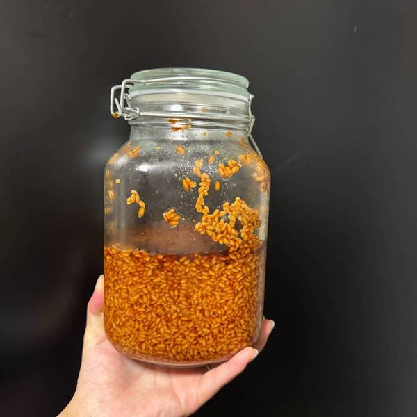 JALファーストクラス機内食にも採用！ ふるさと納税は無添加「丸中醤油」がおすすめ | HugMug